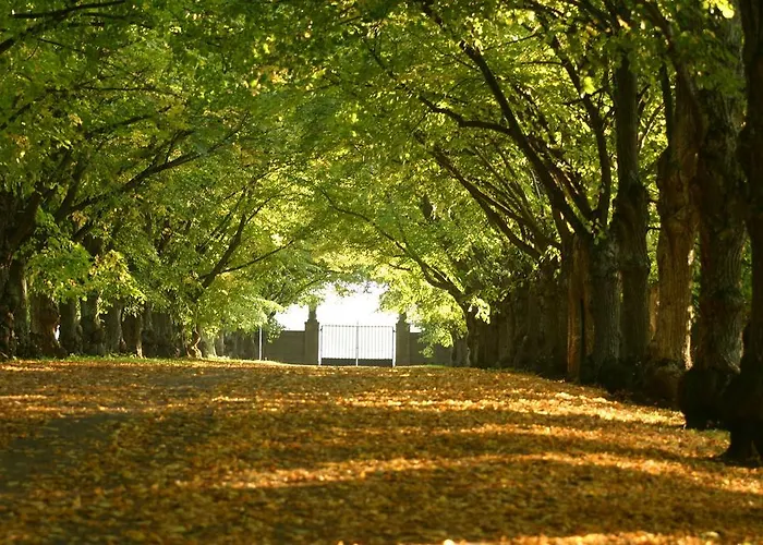 Отель Spa Тойла